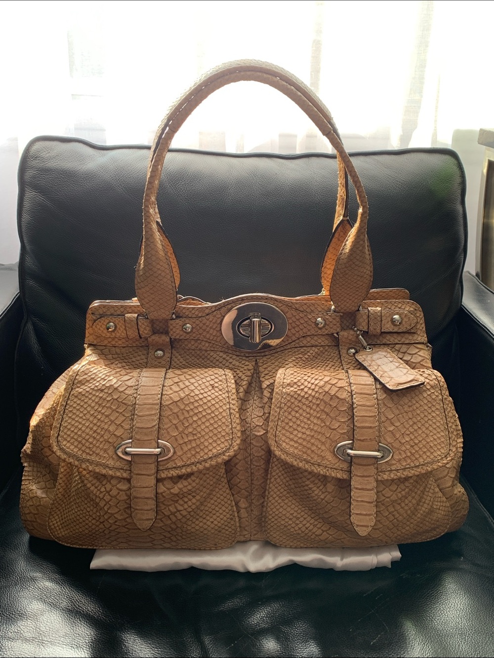 Very Rare 2009 Ella Magic Bag in Snakeskin
